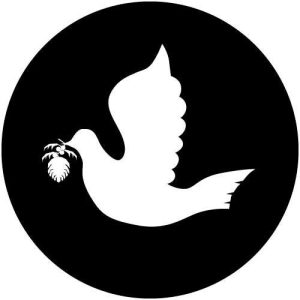 T1320 Dove