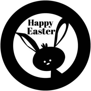 G2791-2 Bunny