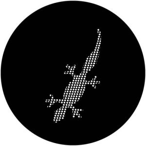 T1530 Meshed Ghecko