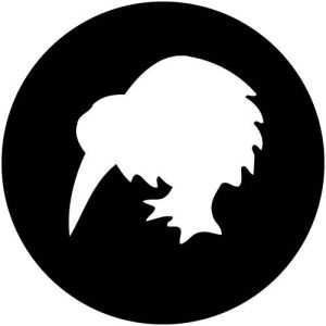 T1590 Cartoon Kiwi