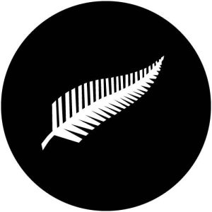 T1595 Fern