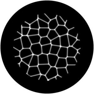 G2145 Tiel Cell