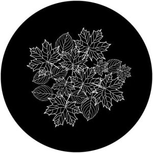 G2160-1 Veins