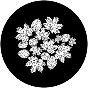 G2160-2 Veins 2
