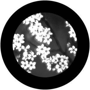 G2315-3 Spring