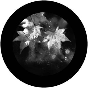 G2315-4 Autumn