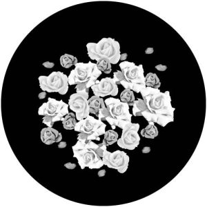 G2318-5 In Bloom