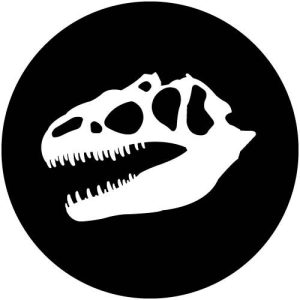 G2340-1 Dinosaur Skull