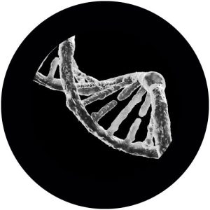 G2396-1 DNA