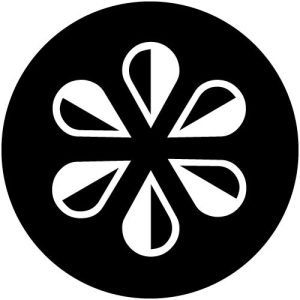 G2410-1 Dropflower