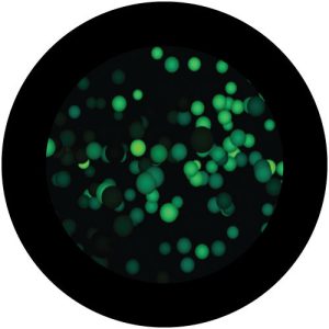 GC3125 Green Dottie