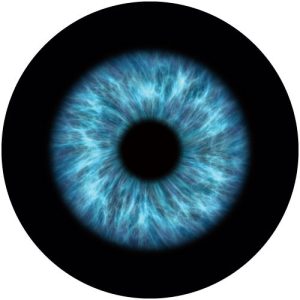 GC4089 Blue Iris