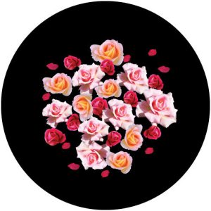 GC4206 Pink Roses
