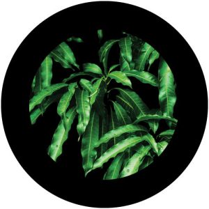 GC4216-1 Green Leaves
