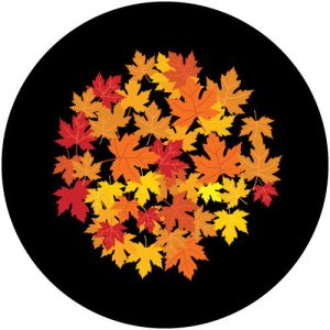 GC4221-1 Fallen Leaves