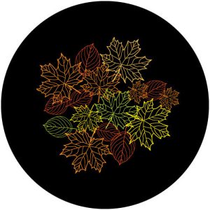 GC4221-2 Leaf Veins