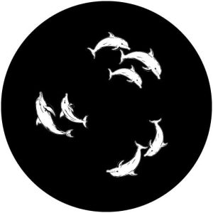 G2306-8 Dolphin Rotation
