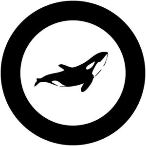 G2307-5 Killer Whale 1
