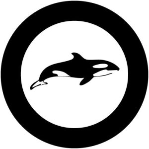G2307-6 Killer Whale 2