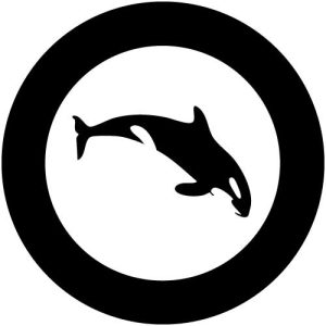 G2307-7 Killer Whale 3