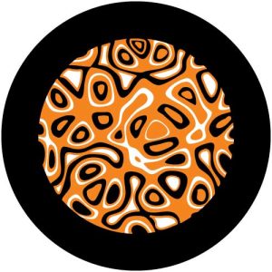 GC5664-2 Cells Amber