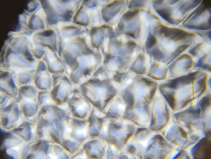 GL80FX Water/Fire LED Effect Projector - Image 4