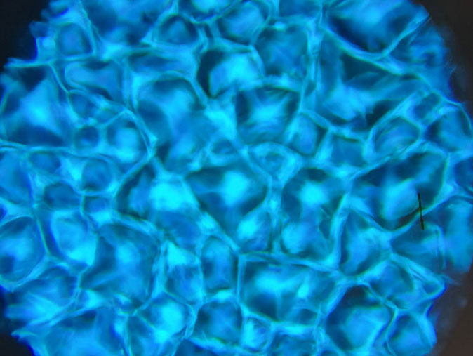 GL80FX Water/Fire LED Effect Projector - Image 5