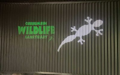 Currumbin Wildlife Sanctuary